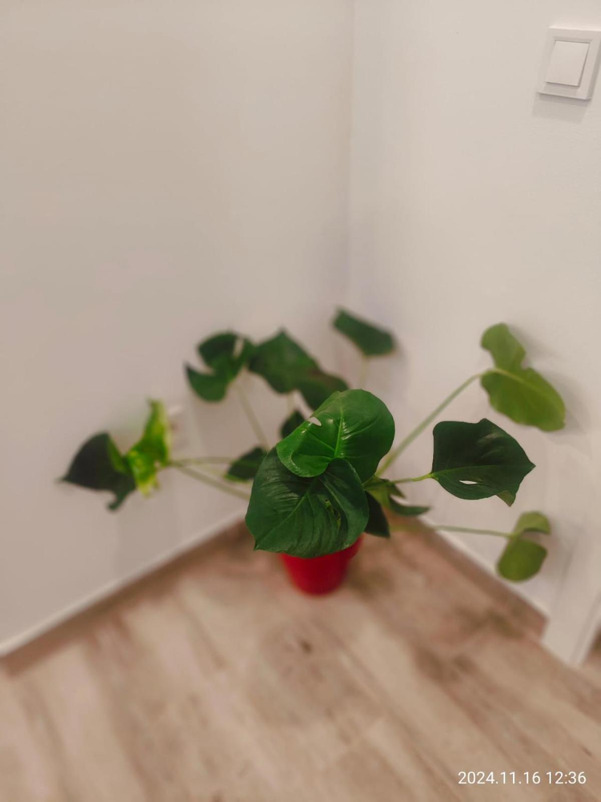 Apartament Seville In Alameda De Hercules エクステリア 写真